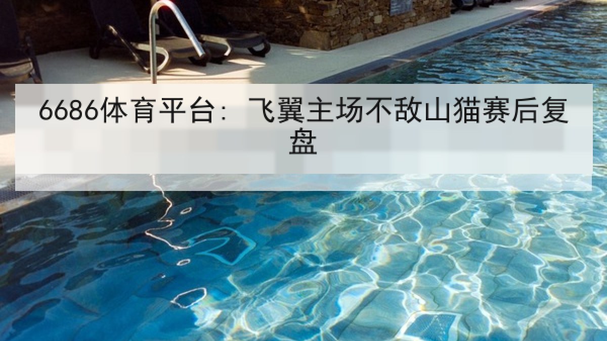 6686体育平台: 飞翼主场不敌山猫赛后复盘