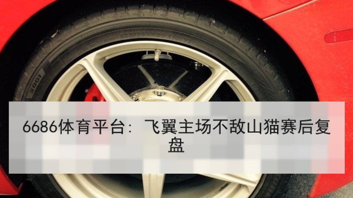 6686体育平台: 飞翼主场不敌山猫赛后复盘